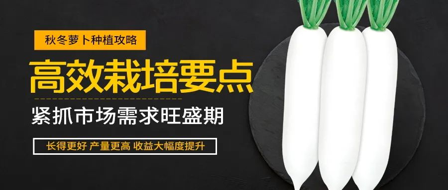 1608458354312284.png image.png